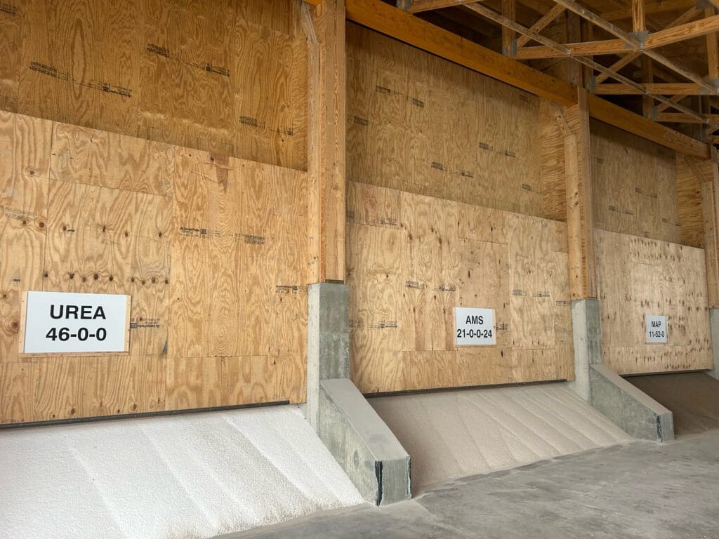 Image4